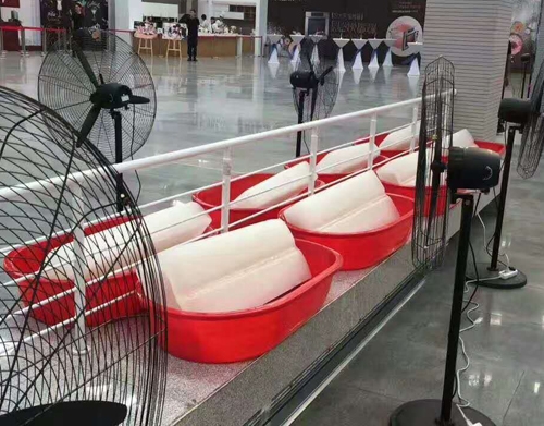 快活视频污冰块案例